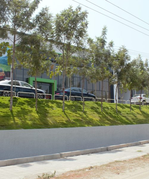 IMG_1577